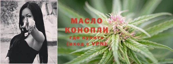 сатива Липки